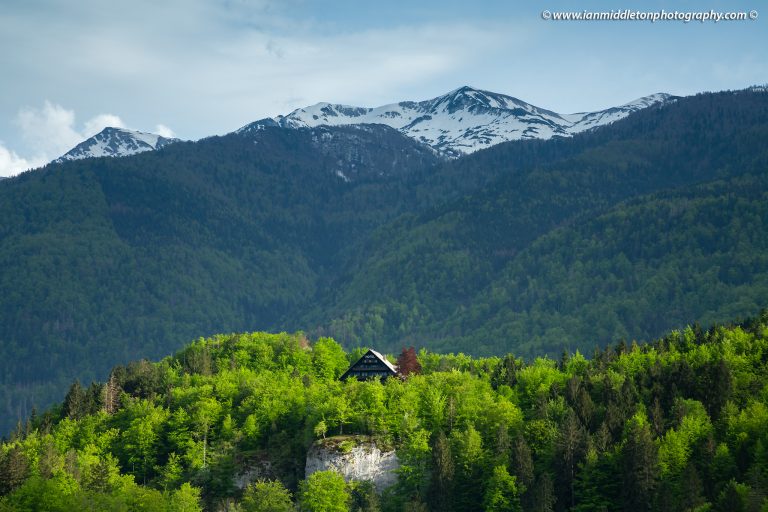 Lake Bohinj