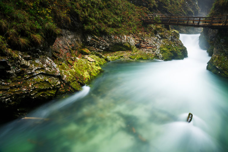 The Soteska Vintgar gorge, Gorje, near Bled, Slovenia. The 1.6 km long Vintgar gorge has been carved through the vertical rocks of the Hom and Bort hills by the Radovna River.