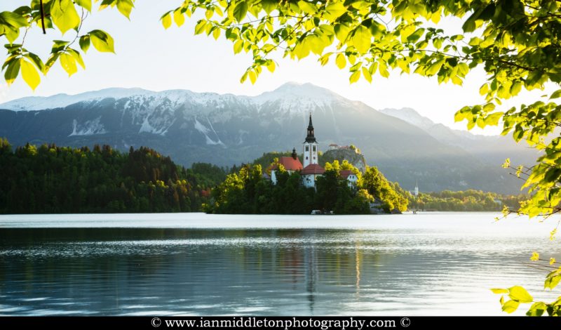 View across Lake Bled to the island church, clifftop castle and Mount Stol in all it's spring glory, Slovenia.