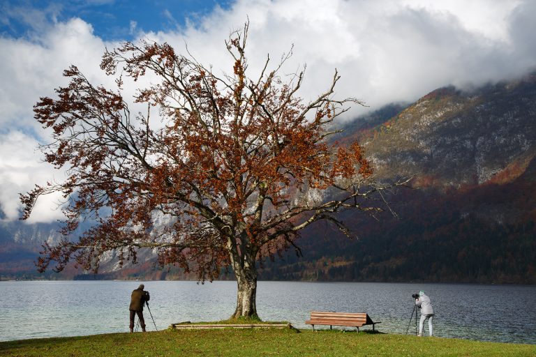 Lake Bohinj in Slovenia