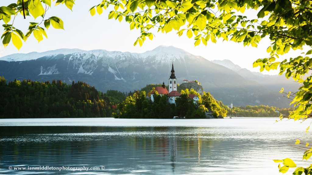 View across Lake Bled to the island church, clifftop castle and Mount Stol in all it's spring glory, Slovenia.