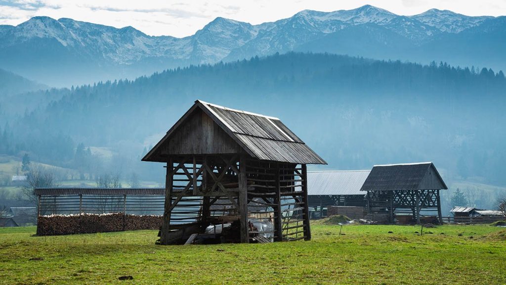 Double hayracks (Kozolec) in the Bohinj valley.