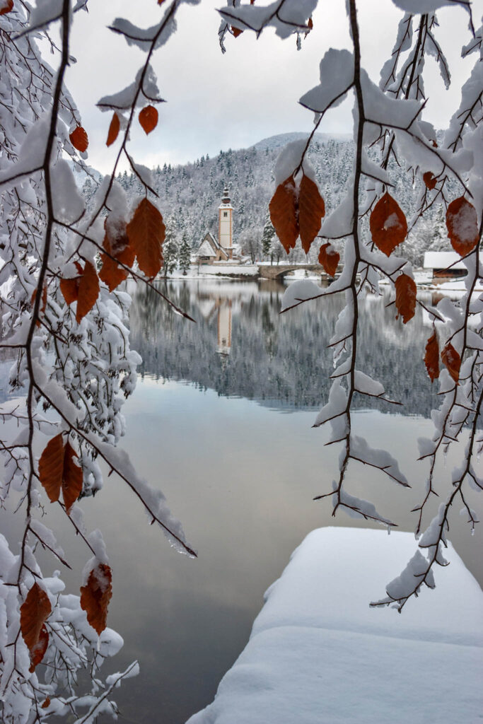 View of the Church of Saint John (Sveti Janez) through brown leaves on Lake Bohinj in winter, Slovenia