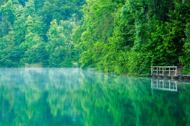 Spring greens at Lake Bled, Slovenia