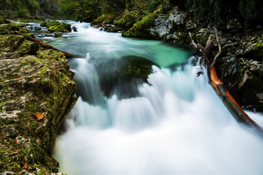 The Soteska Vintgar gorge, Gorje, near Bled, Slovenia. The 1.6 km long Vintgar gorge has been carved through the vertical rocks of the Hom and Bort hills by the Radovna River.