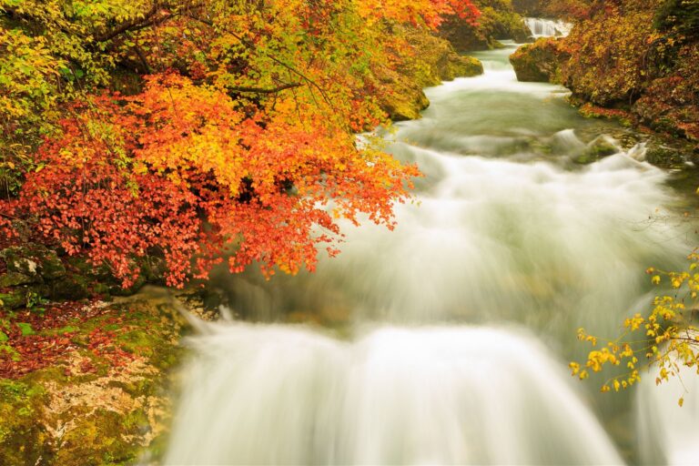 The Soteska Vintgar gorge in Autumn