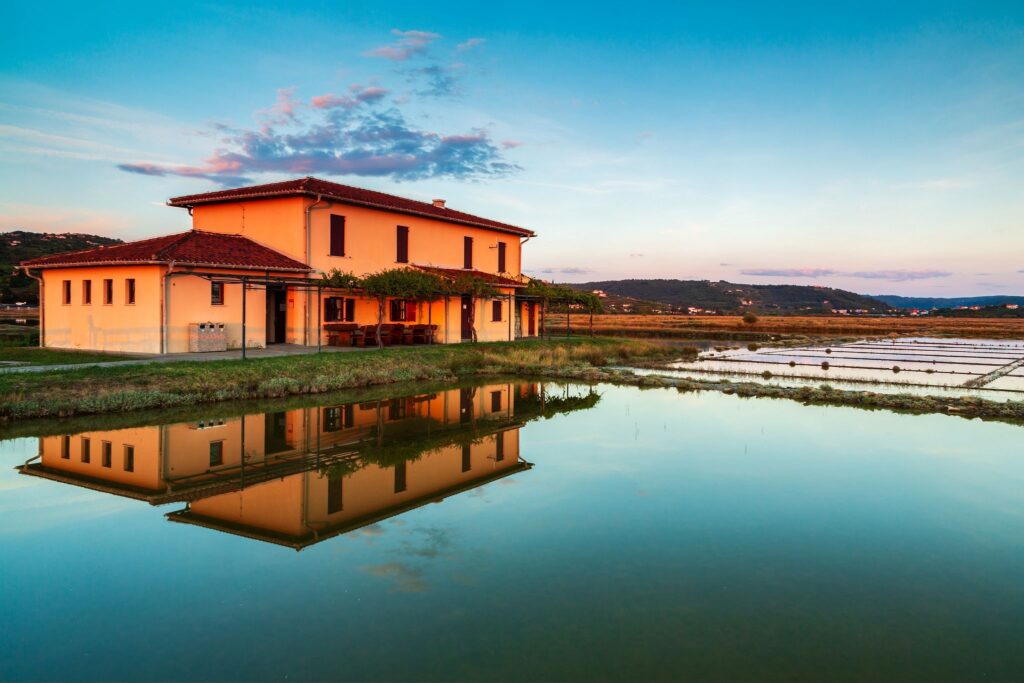 Secovlje Saltpans at sunset, Slovenia