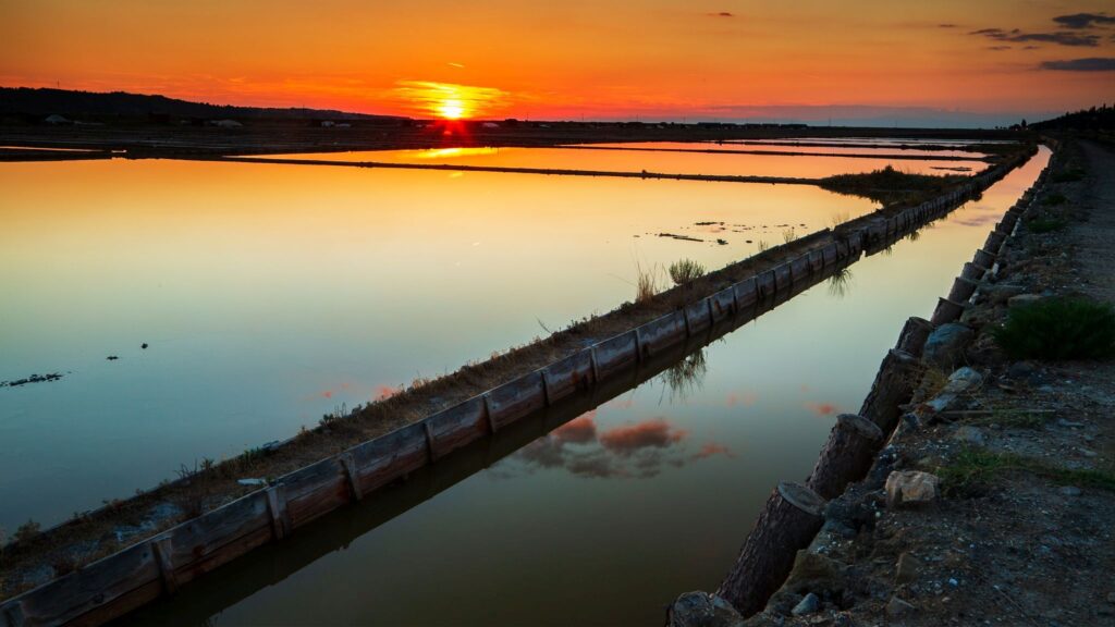 Secovlje Saltpans at sunset, Slovenia