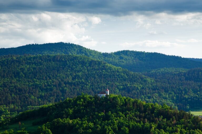Afternoon light over church