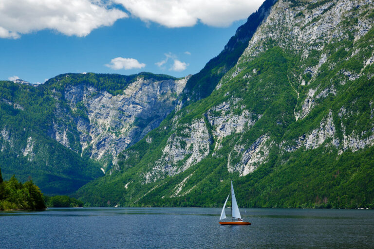 Late Spring greens at Lake Bohinj, Triglav National Park, Slovenia