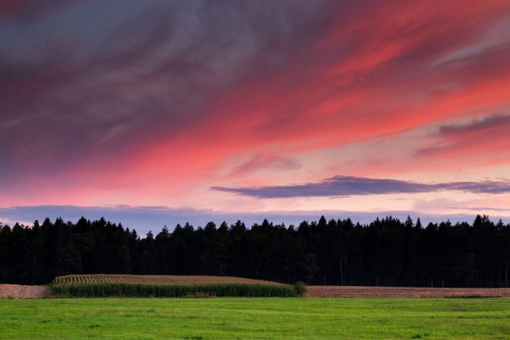 View across the fields in Brnik at sunset, Slovenia. Taken near the Ljubljana Joze Pucnik Airport.