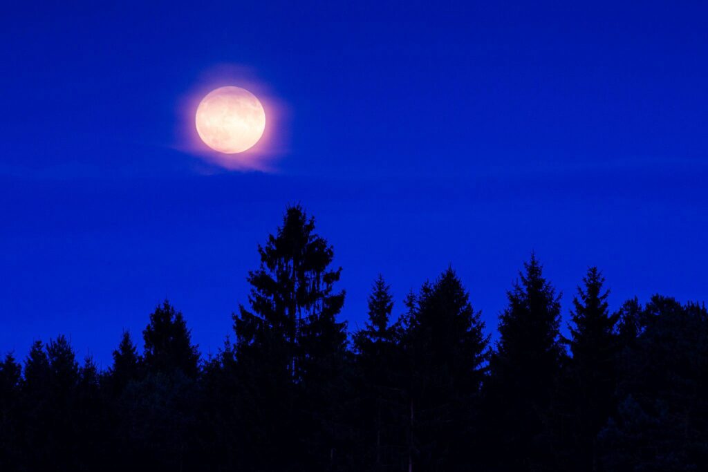 Full moon rising at dusk