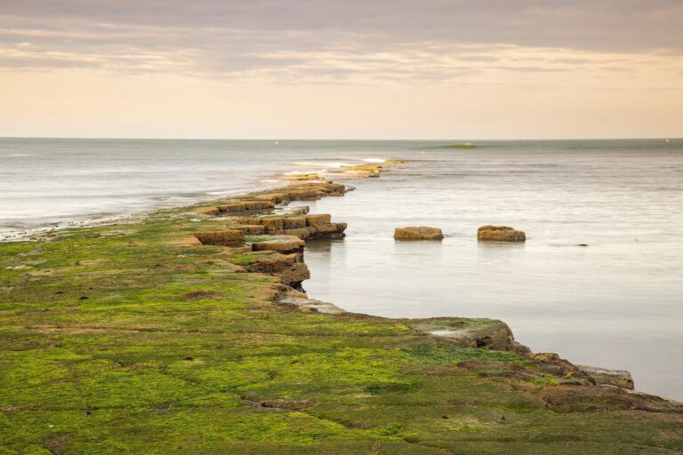 The beautiful coastal landscape at Kimmeridge bay in Dorset. This is one of the many wonders to be found on the Jurassic coast, an UNESCO world heritage site.