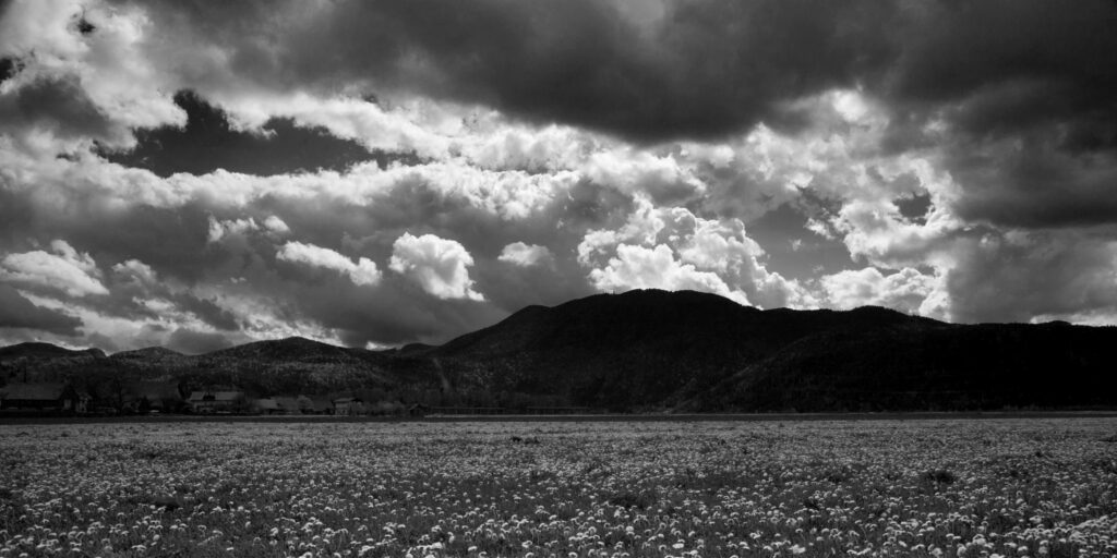 Storm clouds clearing across a field of dandelions to Krim mountain, the highest point on the Ljubljana Marshland (Ljubljansko Barje), a large area of wetland 160 square kilometres in size.