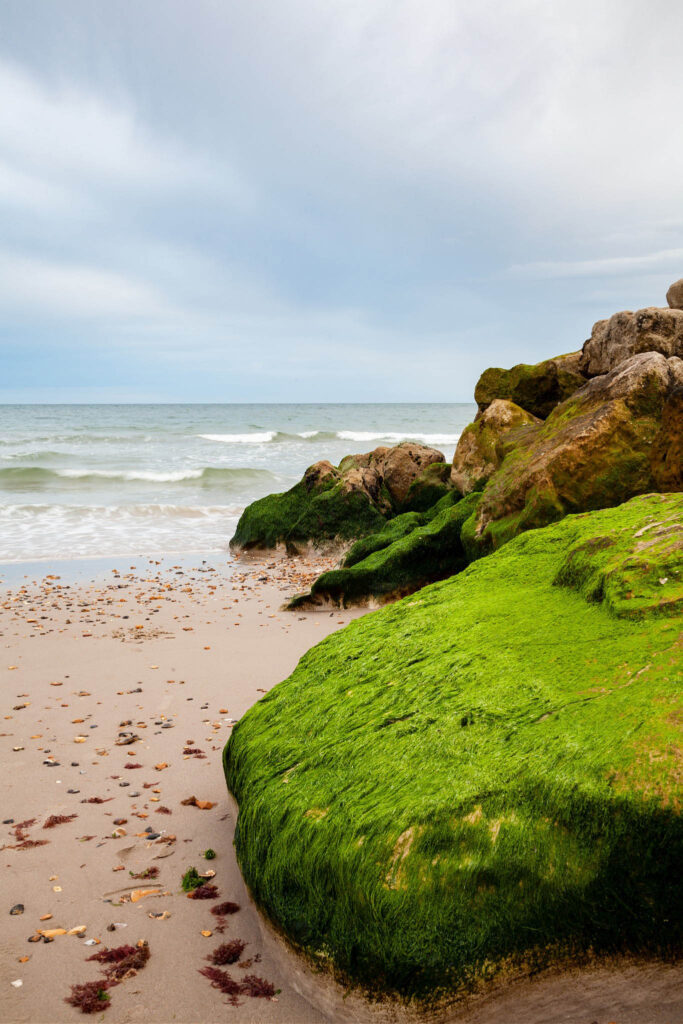 The beautiful coastal landscape at Highcliffe Beach in Dorset.