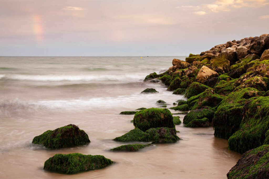 The beautiful coastal landscape at Highcliffe Beach in Dorset.