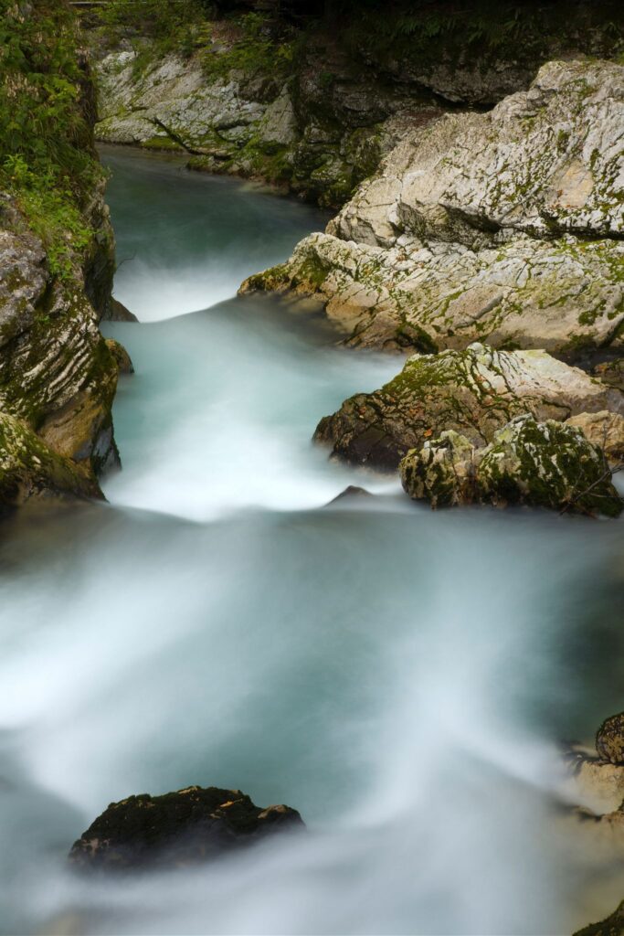 The Soteska Vintgar gorge, Gorje, near Bled, Slovenia. . The 1.6 km long Vintgar gorge carves its way through the vertical rocks of the Hom and Bort hills by the Radovna River.