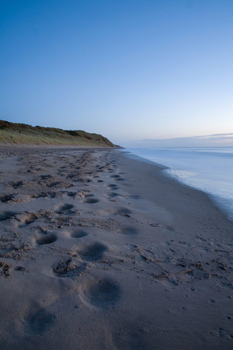 Blackwater beach at dawn, County Wexford, Ireland.