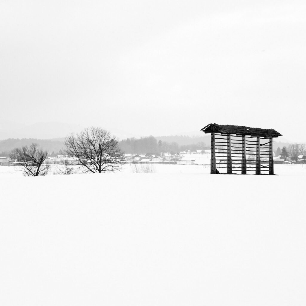 Snow covered landscape in Gorenjska, in the north of Slovenia. To the right is a Kozolec, a wooden rack for drying hay.