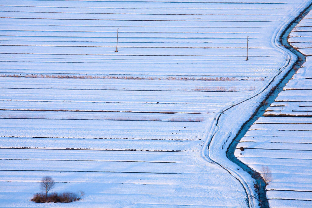 Winter view across the fields of the Ljubljana Marshland (Ljubljansko Barje), a large area of wetland 160 square kilometres in size.