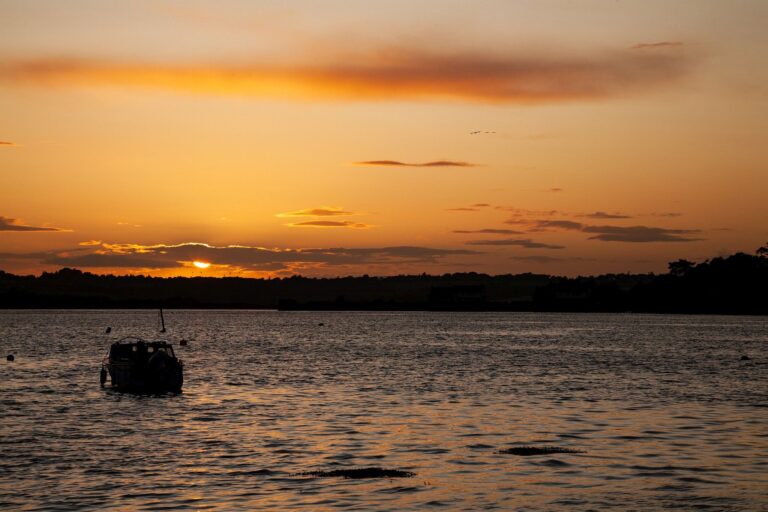 Boats at sunset in Wexford Harbour, County Wexford, Republic of Ireland