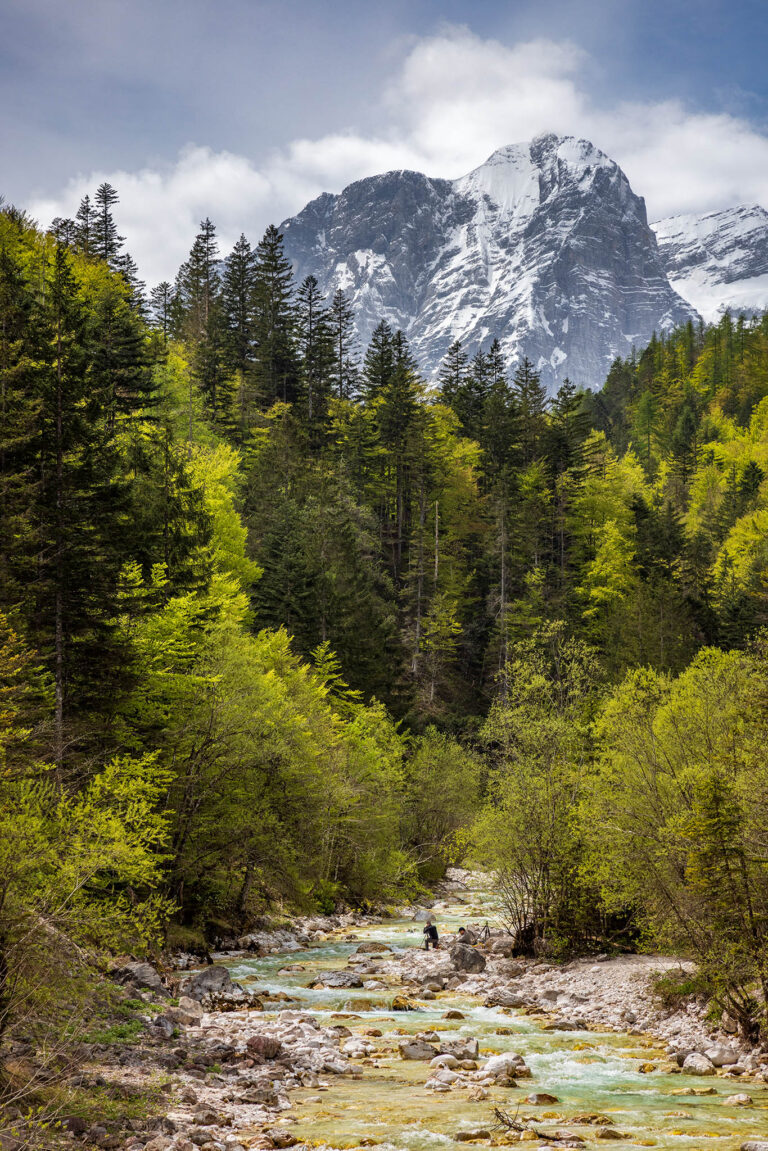 View down the Triglavska Bistrica River into the Vrata Valley, Julian Alps, Triglav National Park, Slovenia