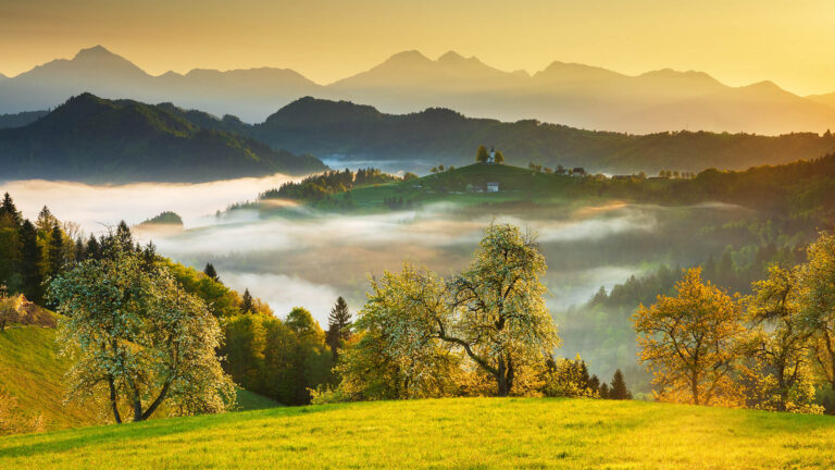 Spring Morning at the Church of Saint Thomas