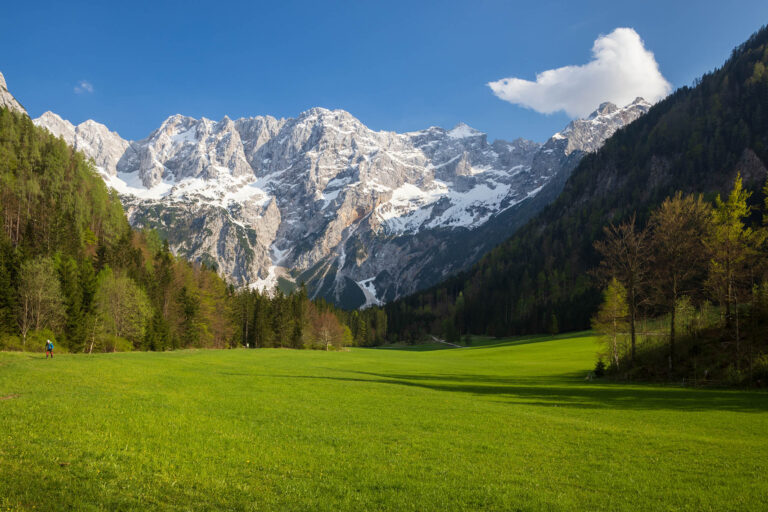 Stunning view of the eastern edge of the Kamnik Alps seen across a meadow in the Ravenska Kocna Valley, Jezersko