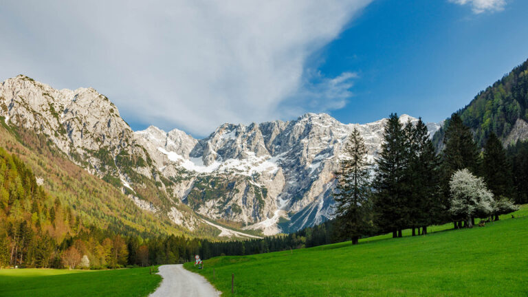 Stunning view of the eastern edge of the Kamnik Alps seen across a meadow in the Ravenska Kocna Valley, Jezersko
