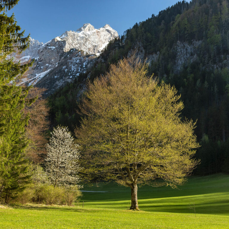 Jezersko is a town on the border with Austria. The town is known for its little heart-shaped lake that was made by local inhabitants in memory of a larger glacial lake that had drained away, and after which Jezersko got its name. However, a short walk from the lake takes you into this lovely valley with the Kamnik alps as your backdrop. Beautiful in Spring.
