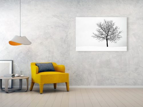 Acrylic print example of tree in winter