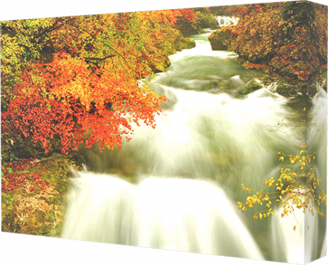 Vintgar Gorge canvas print example